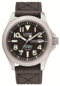 Citizen web