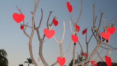 Don’t let the threat of shoplifters spoil Valentine’s Day businessDon’t let the threat of shoplifters spoil Valentine’s Day business