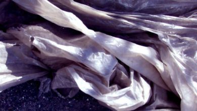 Carrier bag tax ‘will confuse shoppers’ as small retailers exempt