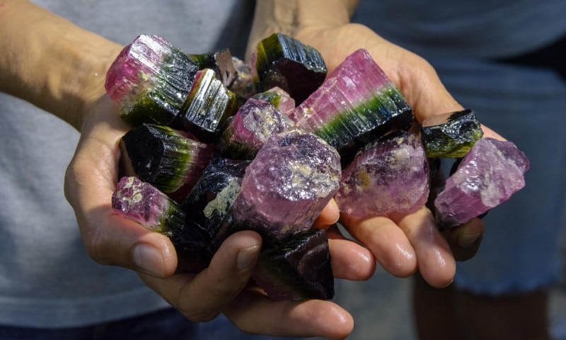 GIA suspends diamond sealing services after receiving mis-labelled packet