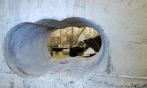 Inside vault