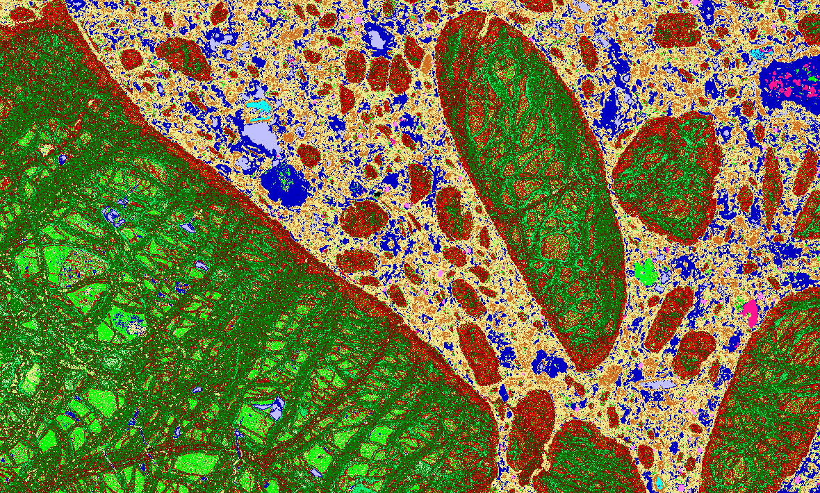 A plant that sniffs out diamonds