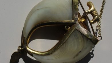 Jeweller fined for selling illegal big cat claws in jewellery
