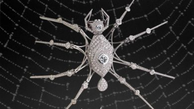 Rare spider diamond ring predicted to fetch £200,000 at auction