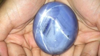 World’s largest blue star sapphire ‘discovered in Sri Lanka’