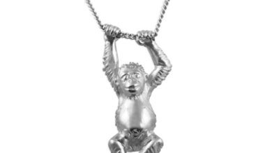Jana Reindhart raises funds for orangutan charity