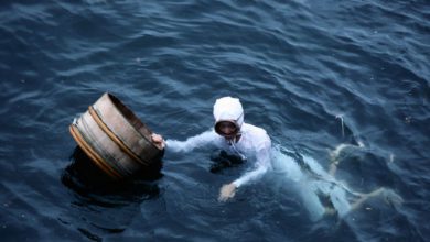 Pearl farmers and the climate change fight