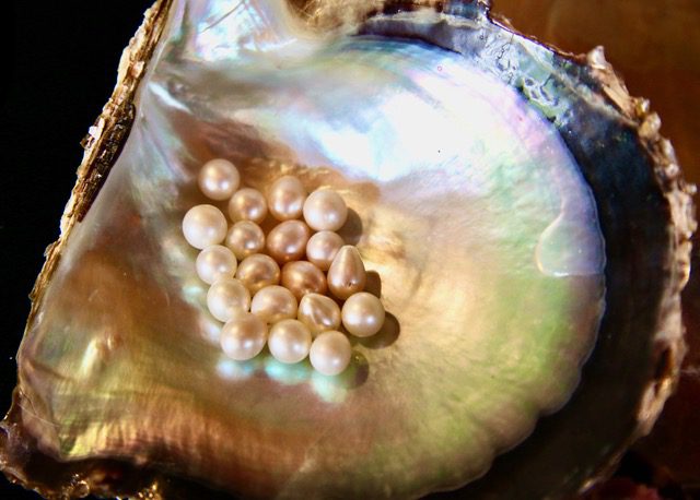 The rarest pearl of all – The Cozumel Pearl