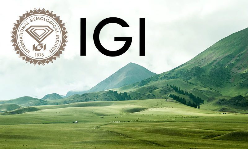 IGI commits to carbon neutrality