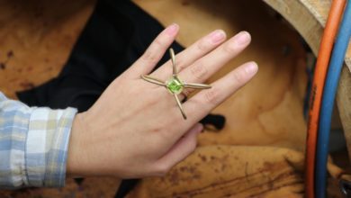 BAJ students embark on Fuli Gemstones project