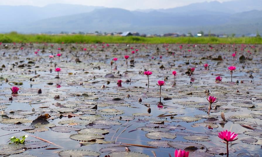 Turquoise Mountain to launch new collection at London craft week