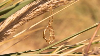 Loveness Lee launches aftercare programme