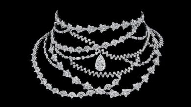 Dior launches new Dior Délicat collection