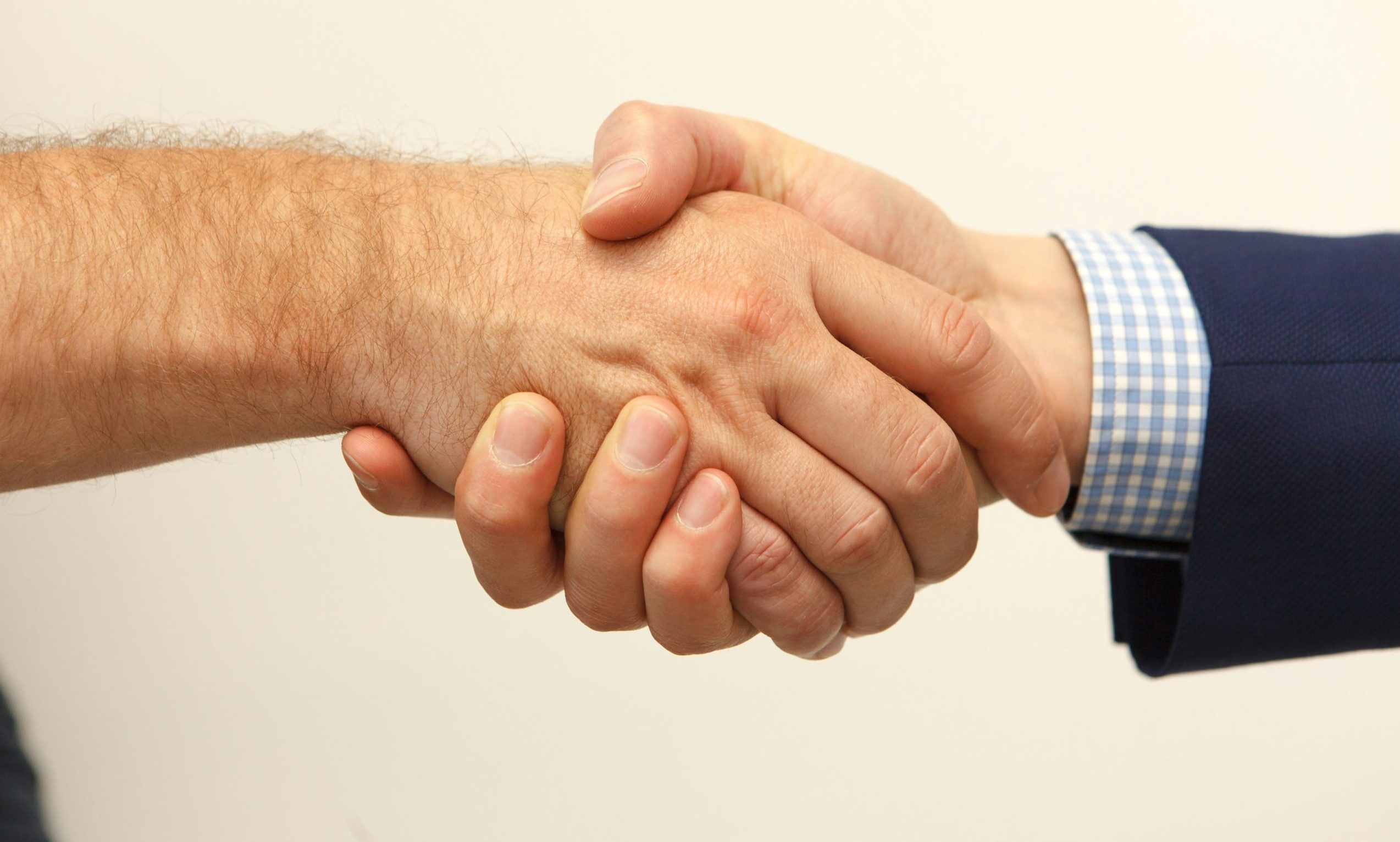 Wolf appoints new UK and Europe senior sales director