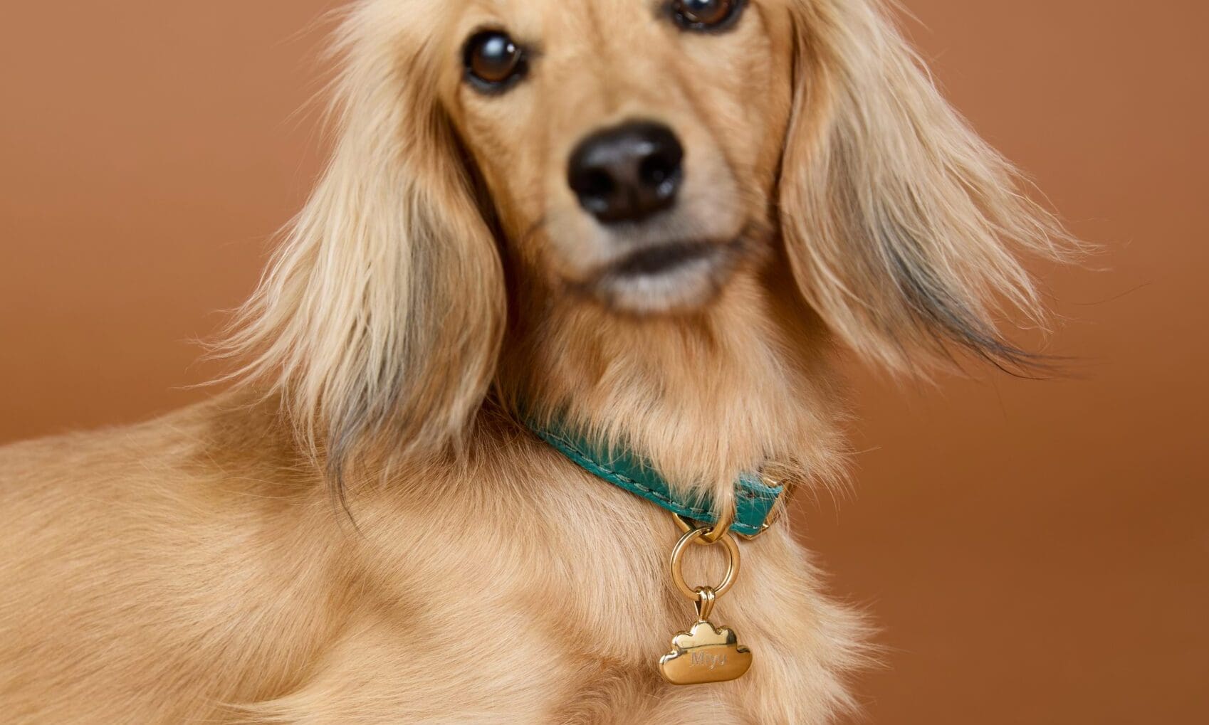 Astrid and Miyu launches first Pets collection