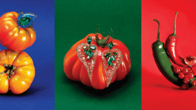 Anabela Chan launches Fruit Gems Collection