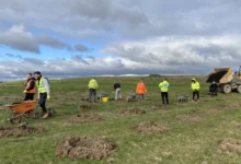 AG and Sons supports UK reforestation with planting of 200 trees