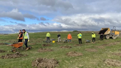 AG and Sons supports UK reforestation with planting of 200 trees
