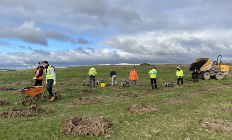 AG and Sons supports UK reforestation with planting of 200 trees