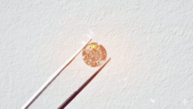 Customer Care: Embedded at checkout and built for Shopify  